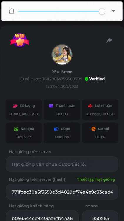 Screenshot_2022-02-20-18-30-55-335_com.android.chrome.png